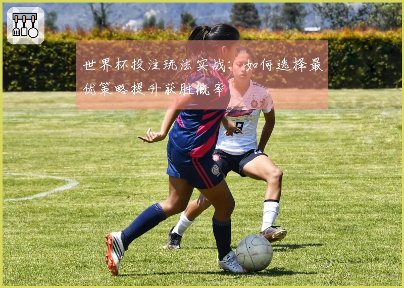 世界杯投注玩法实战：如何选择最优策略提升获胜概率