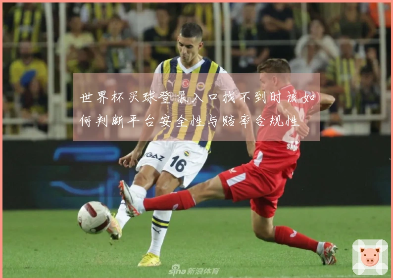 世界杯买球登录入口找不到时该如何判断平台安全性与赔率合规性