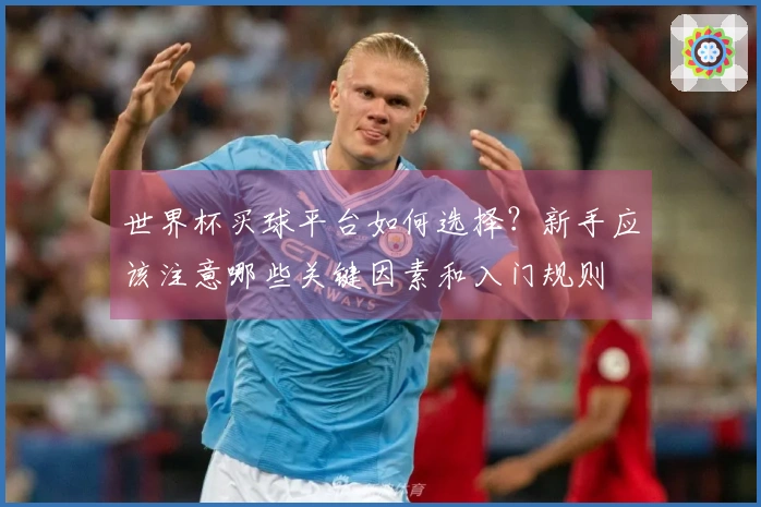 世界杯买球平台如何选择？新手应该注意哪些关键因素和入门规则