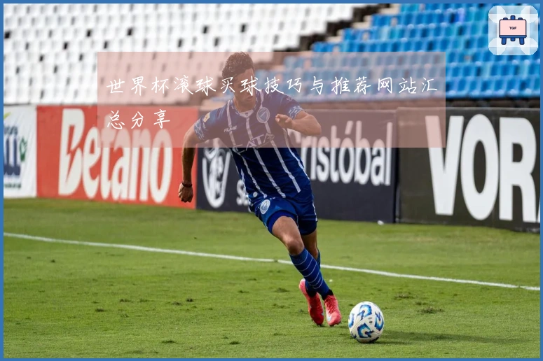世界杯滚球买球技巧与推荐网站汇总分享