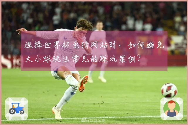选择世界杯竞猜网站时，如何避免大小球玩法常见的踩坑案例？