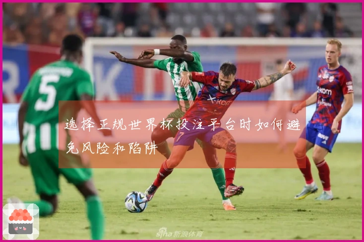选择正规世界杯投注平台时如何避免风险和陷阱