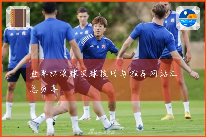 世界杯滚球买球技巧与推荐网站汇总分享